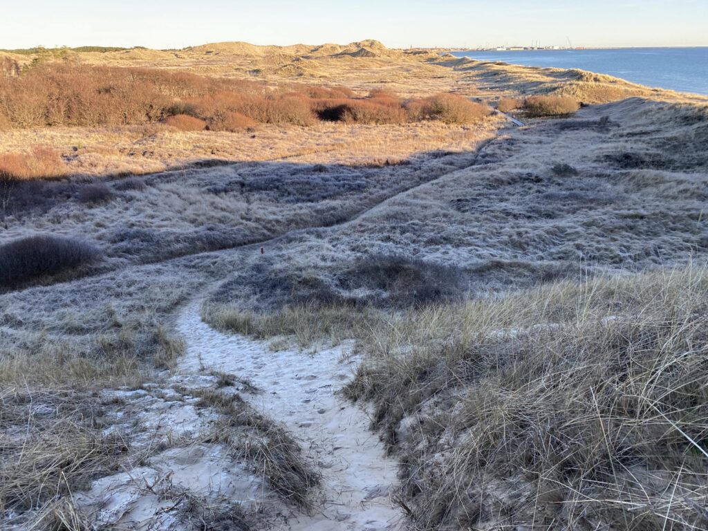 En sti langs Østersøen ved Skagen
