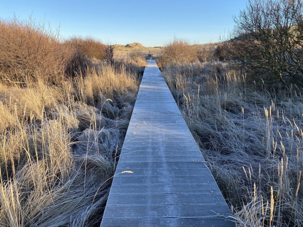 En gangbro i vintervejr i Skagen Klitplantage