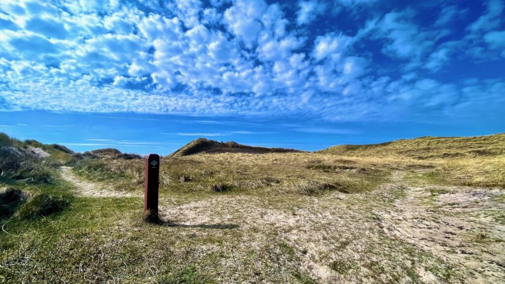 Dramatisk himmel med hvide skyer over Nationalpark Thy