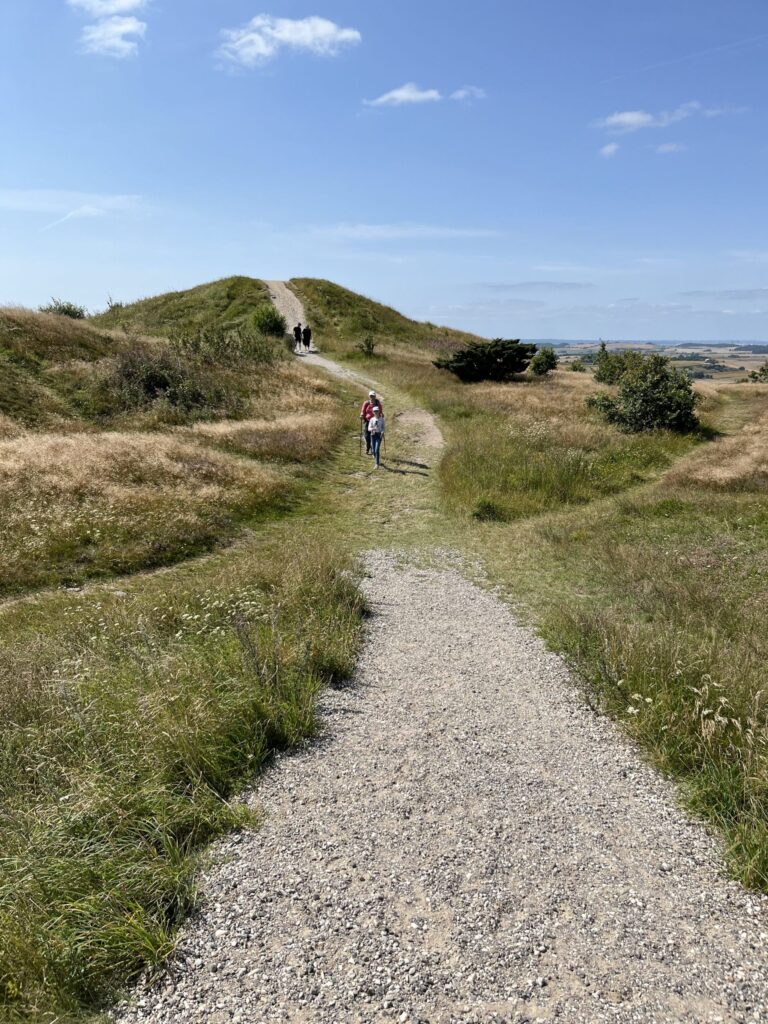 Par vandrer ned ad bakke i Mols Bjerge på en solskinsdag