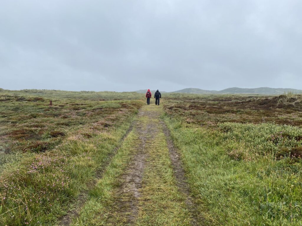 Vandring på klithede