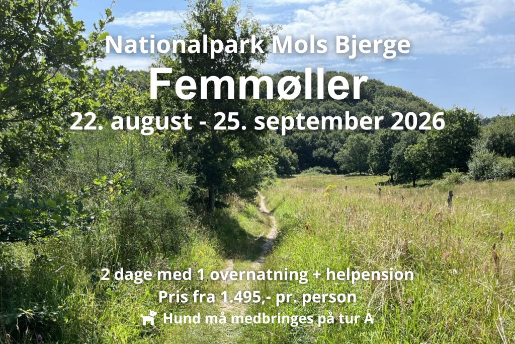 Lille skovsti i Nationalpark Mols Bjerge infomationstekst over billedet beskriver de tilgængelige datoer for vandreferier i området i 2026