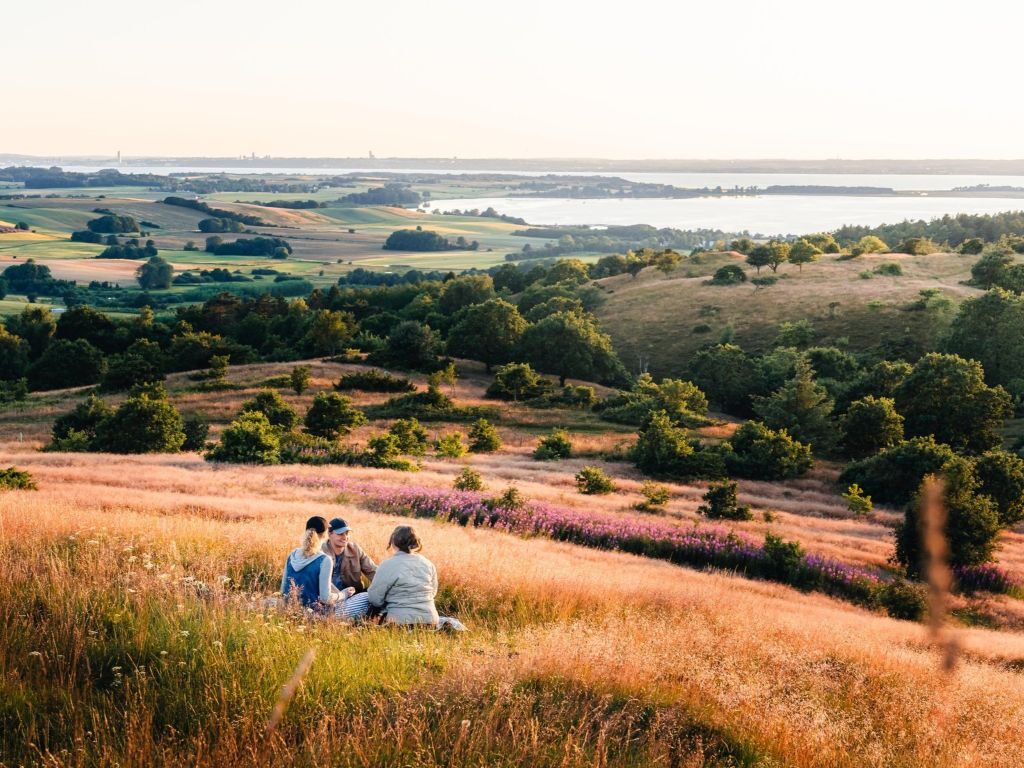 Tre venner holder pause i græsset og nyder udsigten ud over Nationalpark Mols Bjerge