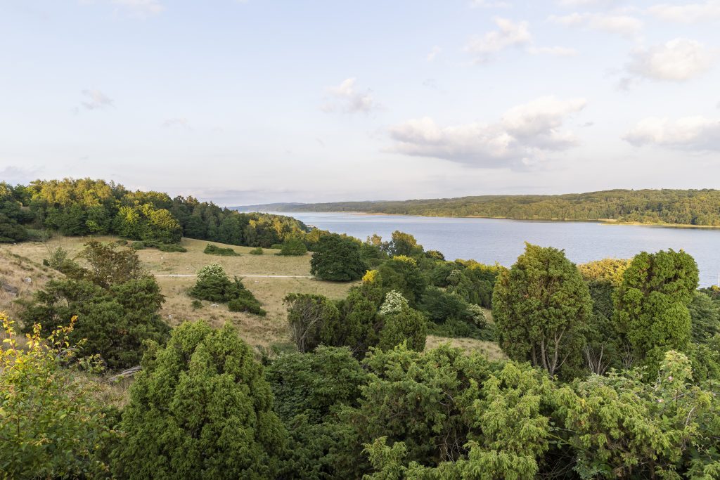 Udsigt ud over Bramslev Bakker