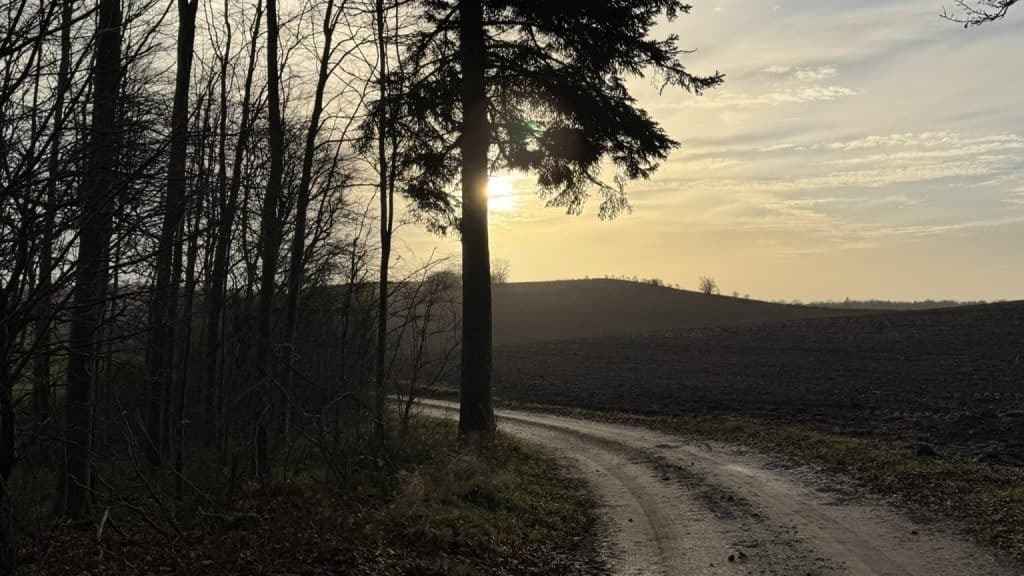 Grusvej på Sydfyn med den lavthængende vintersol i baggrunden