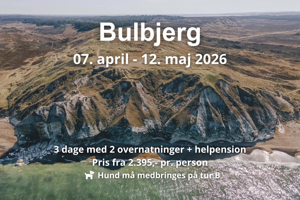Billede af fuglefjeldet Bulbjerg med informationstekst omkring rutens åbningstid i 2026