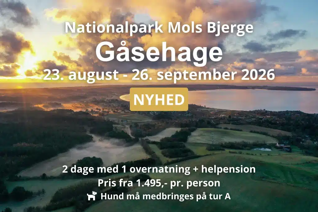 Strand på Syddjurs i Nationalpark Mols Bjerge infomationstekst over billedet beskriver de tilgængelige datoer for vandreferier i området i 2026