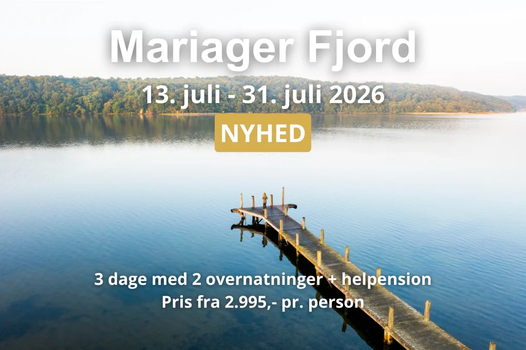 Badebro i Mariager Fjord på en sommerdag med blå himmel