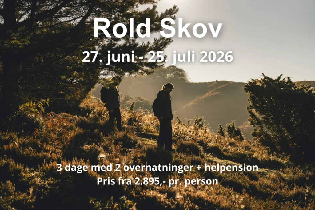 To kvinder vandre ned ad bakke i Rold Skov med modlys fra morgensolen informationstekst hen over billedet oplyser åbningsperiode for vandreferier i området