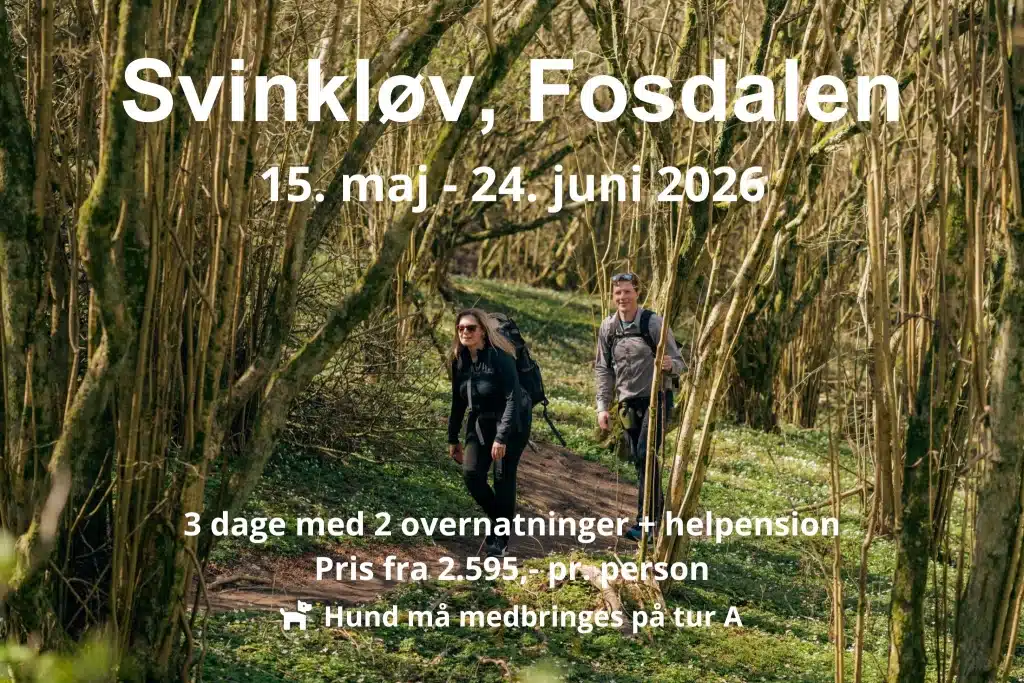 Et par vandrer mellem træerne i Fosdalen infomationstekst over billedet beskriver de tilgængelige datoer for vandreferier i området i 2026