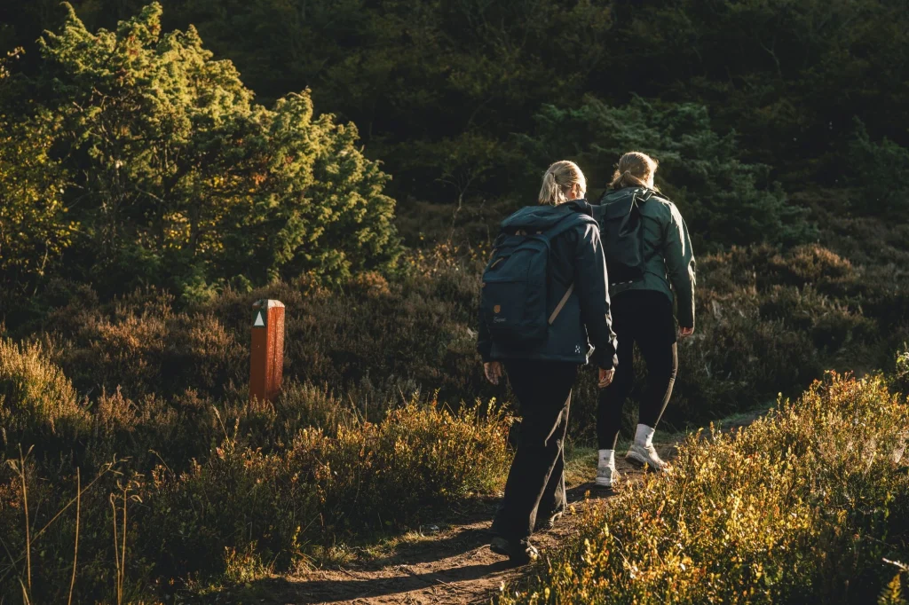 Ti kvinder på vandretur i efteråret i Rold Skov
