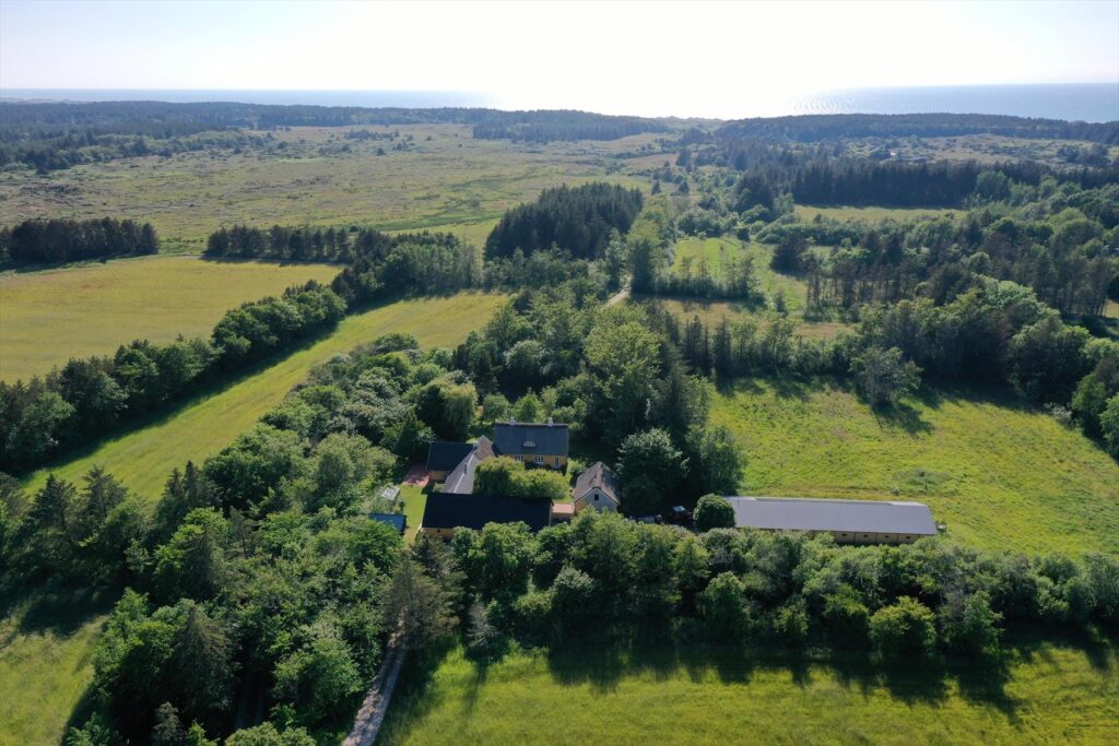 Tornby Klitplantage: Tur C