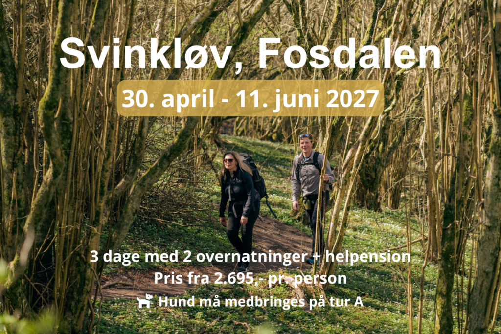 To personer på vandretur gennem skovområde i Fosdalen ved Svinkløv tekst beskriver åbningsperioden for ruten i 2027