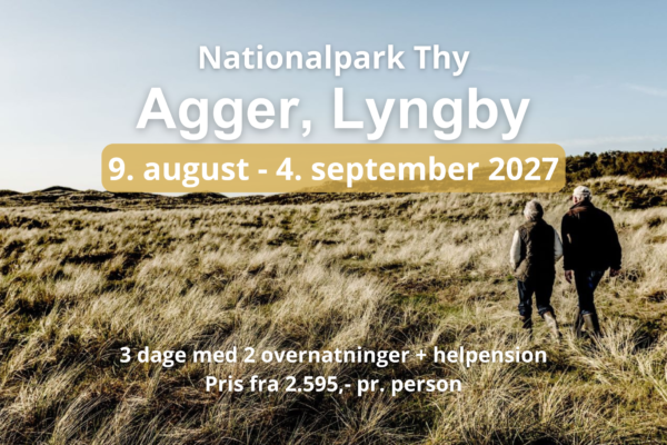 To personer vandrer gennem klitheden i Nationalpark Thy