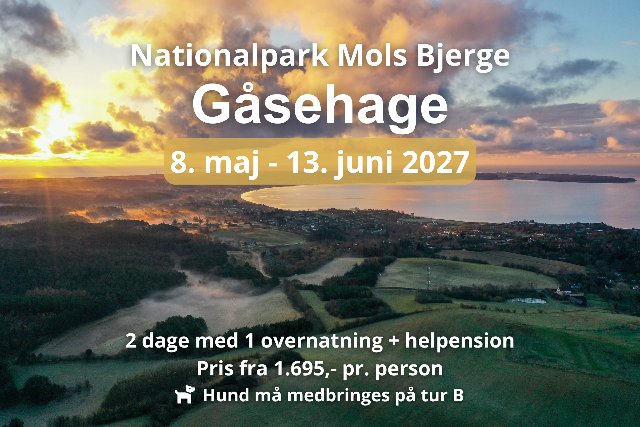Luftfoto af kysten ved Gåsehage ruten i Mols Bjerge