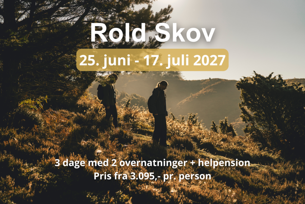 To personer på vandretur i solopgangen i Rold Skov