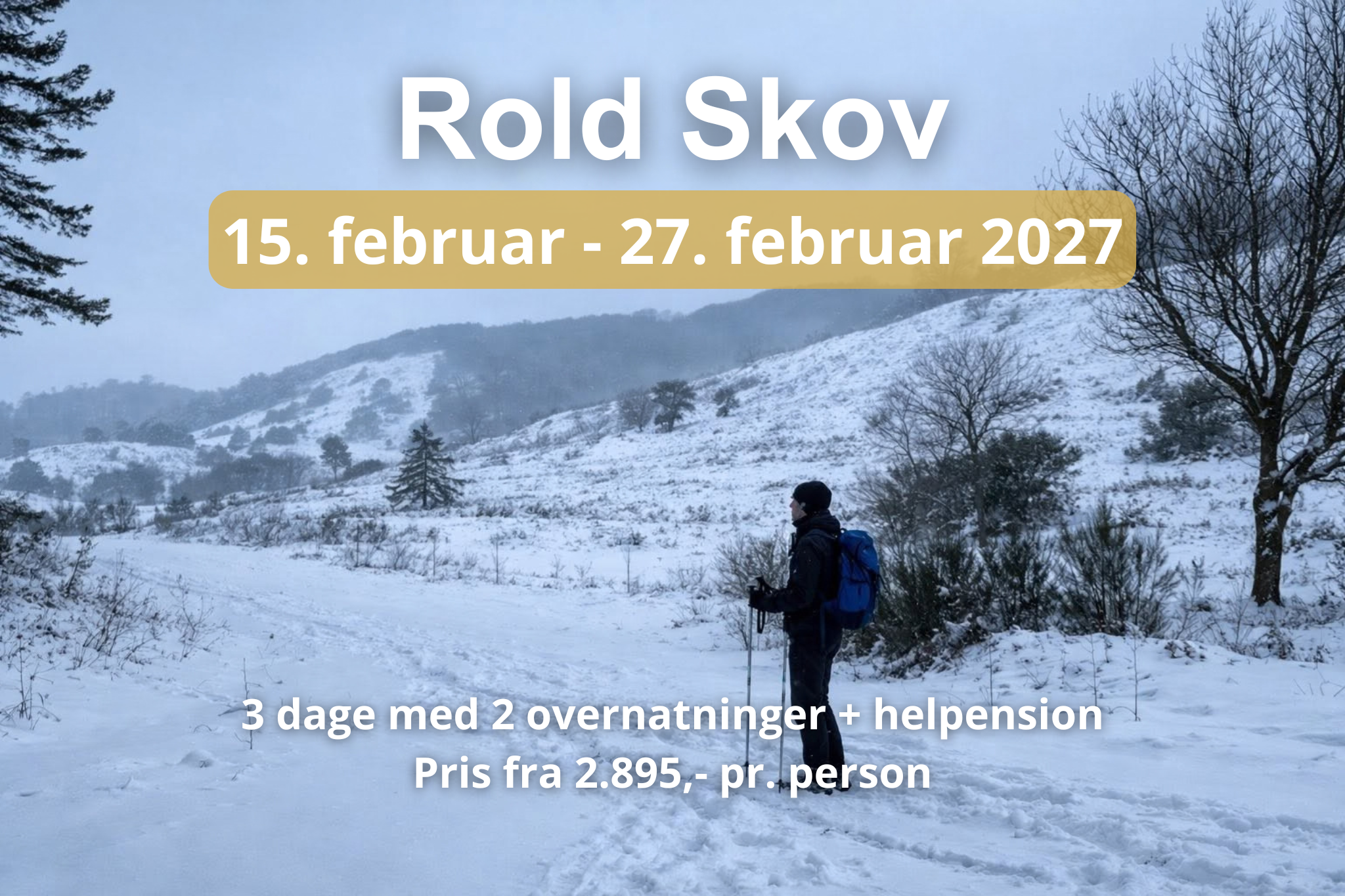 Person med vandrestave på tur i Rold Skov i snevejr