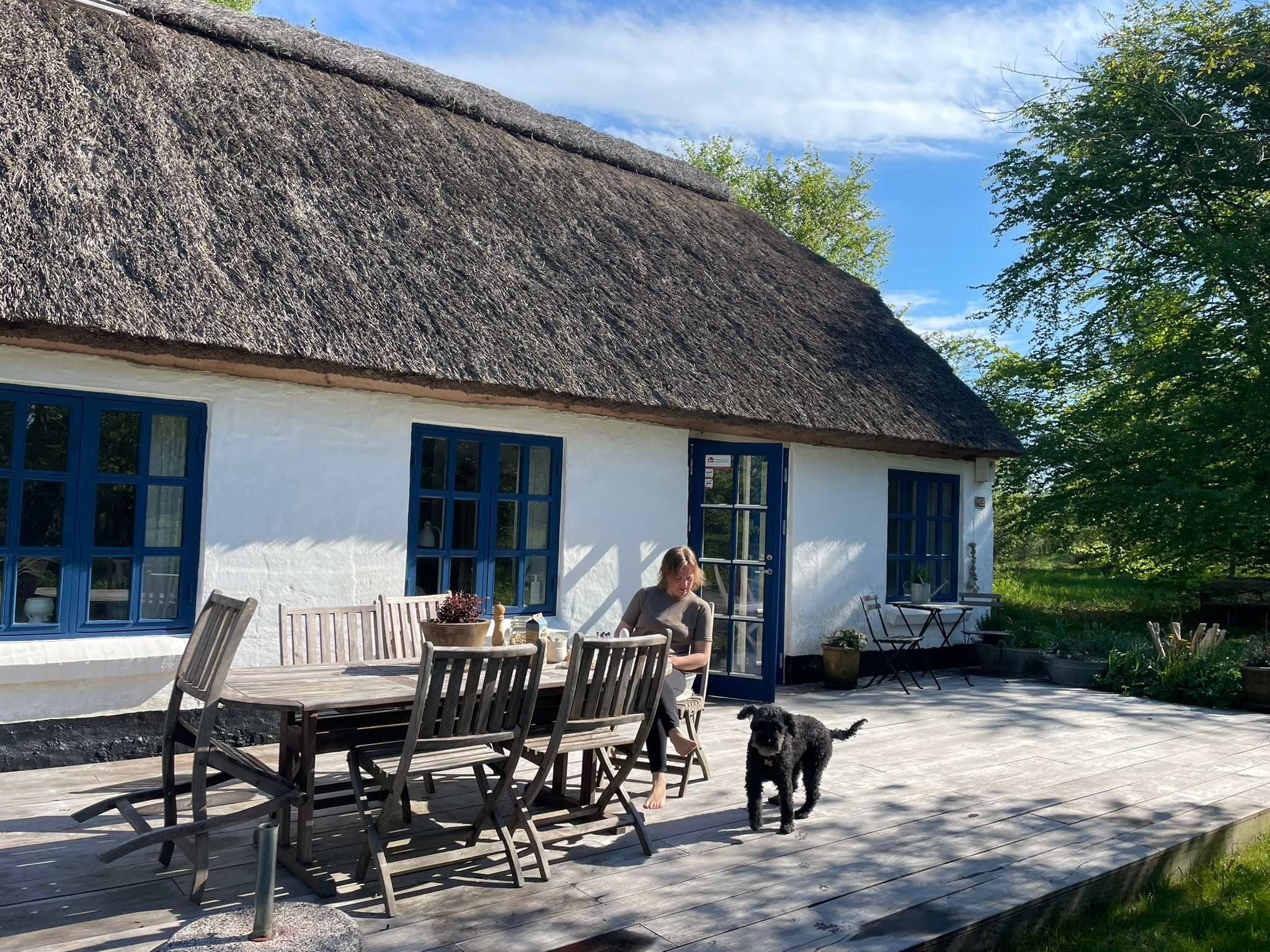 Kvinde sidder på terassen foran sommerhuset i Svinkløv og spiser morgenmad i solen mens en sort hund kigger glad på kameraet