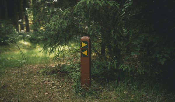 Vandrerutepæl med to gule pile i en dansk skov – et visuelt symbol på at begive sig ud i det ukendte og vælge sin egen vej i naturen.